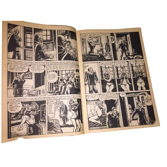 Real PULP COMIC No. 2 Jan. 1973 -  The Print Mint - Underground Comix - Vintage - Picture 10 of 16